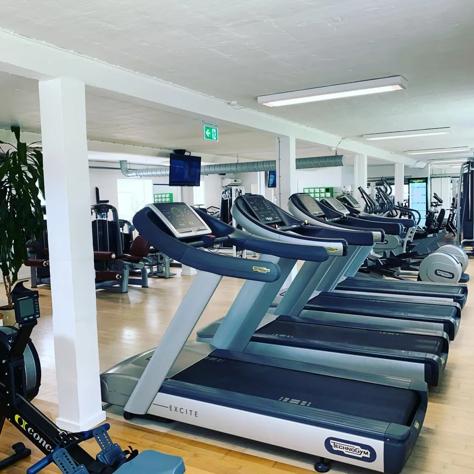 187950459 439613220799317 8003796329926849192 N